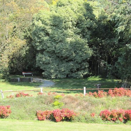 Dandenong Ranges Cottages The Patch Bagian luar foto