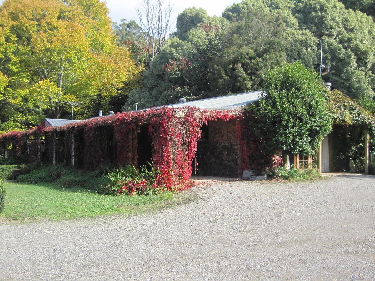 Dandenong Ranges Cottages The Patch Bagian luar foto