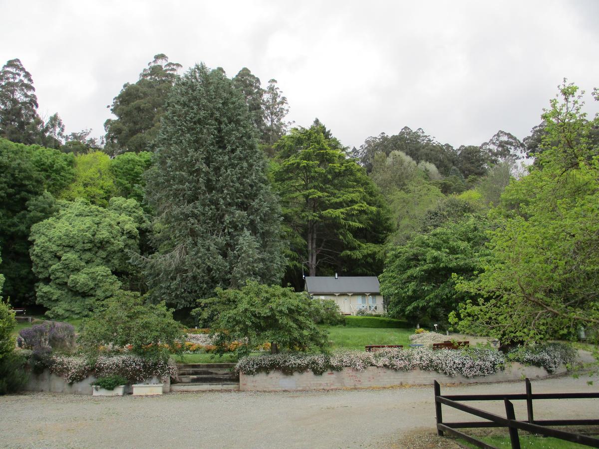 Dandenong Ranges Cottages The Patch Bagian luar foto